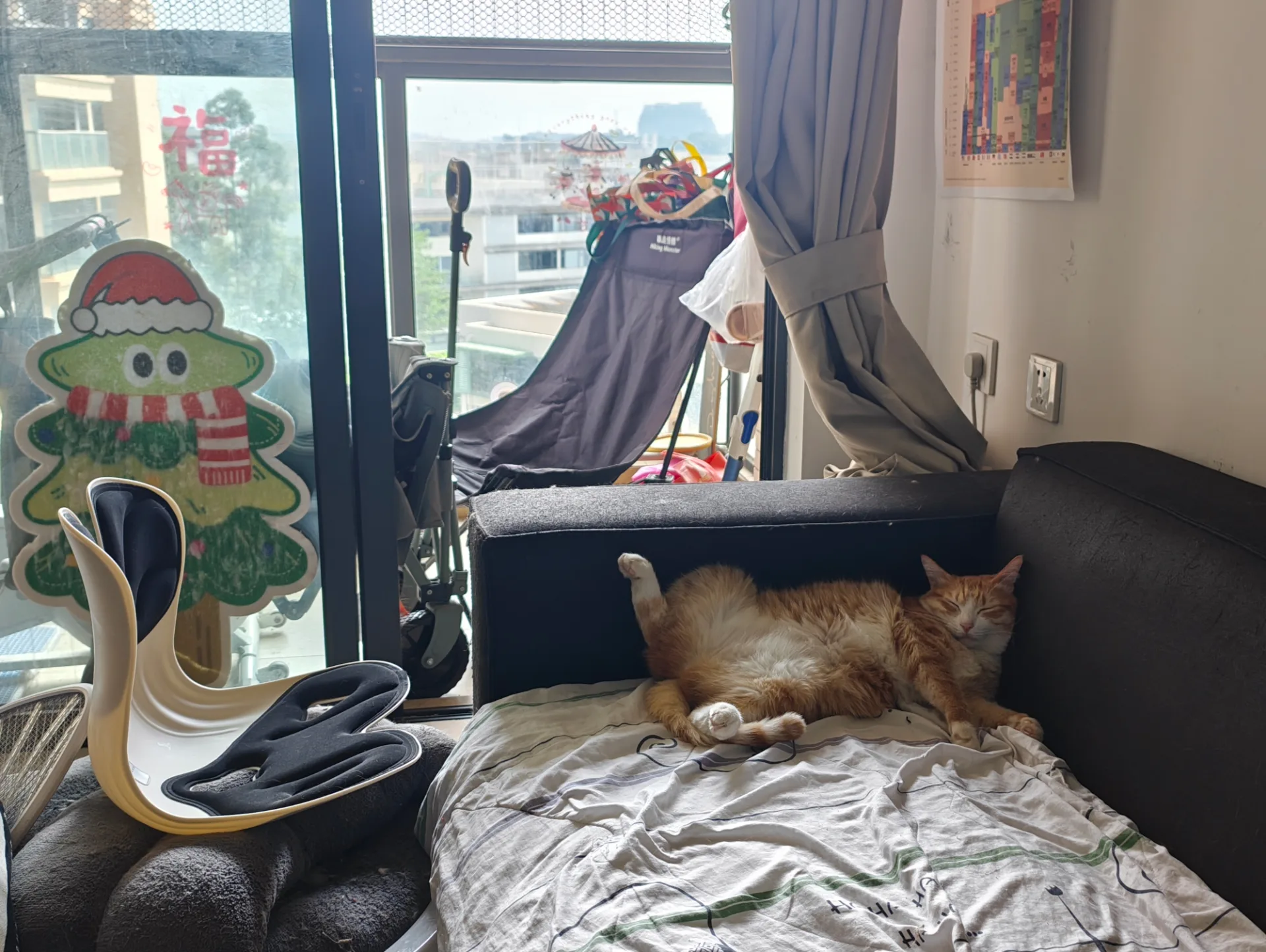 相册照片 3